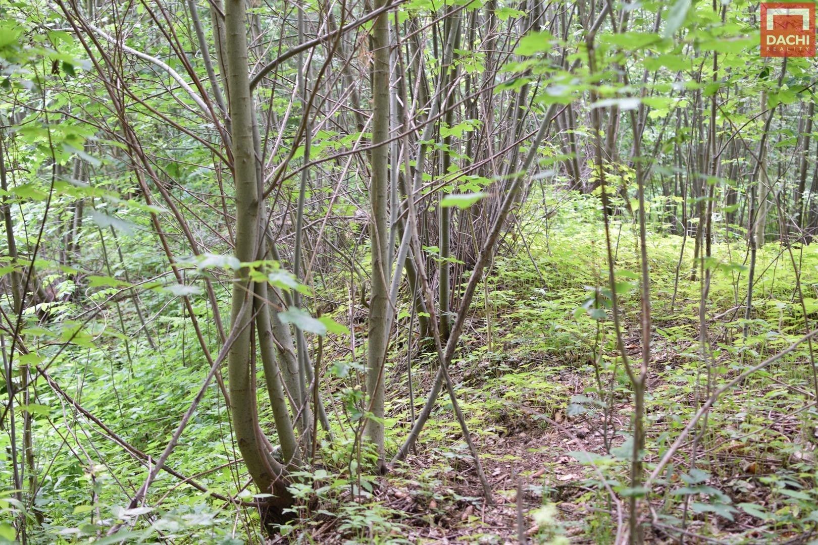 Pozemek · 4 584 m² · Horní Heřmanice - 3