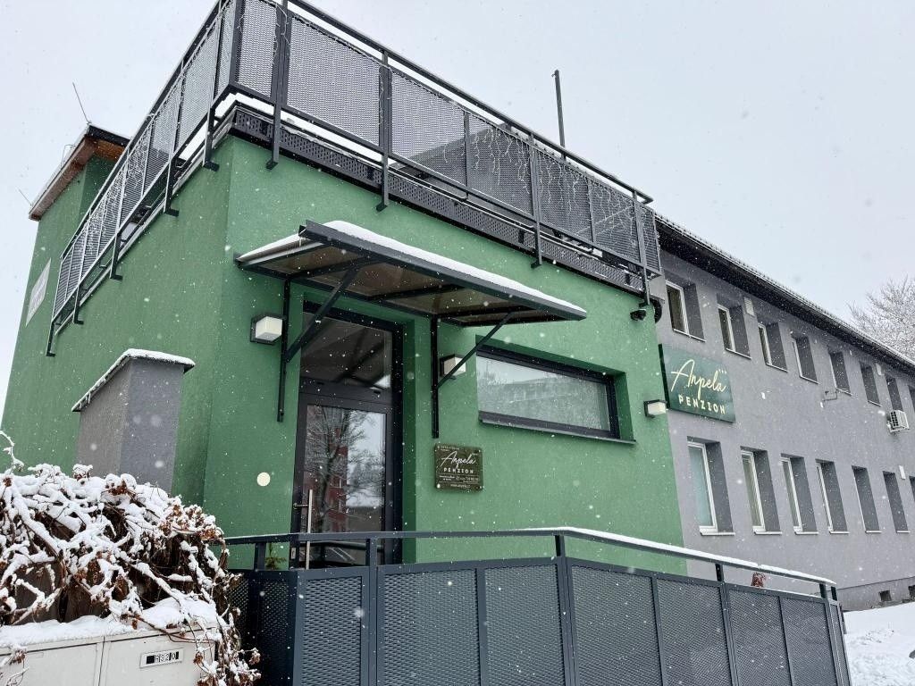 Restaurace, Rýmařov, 795 01