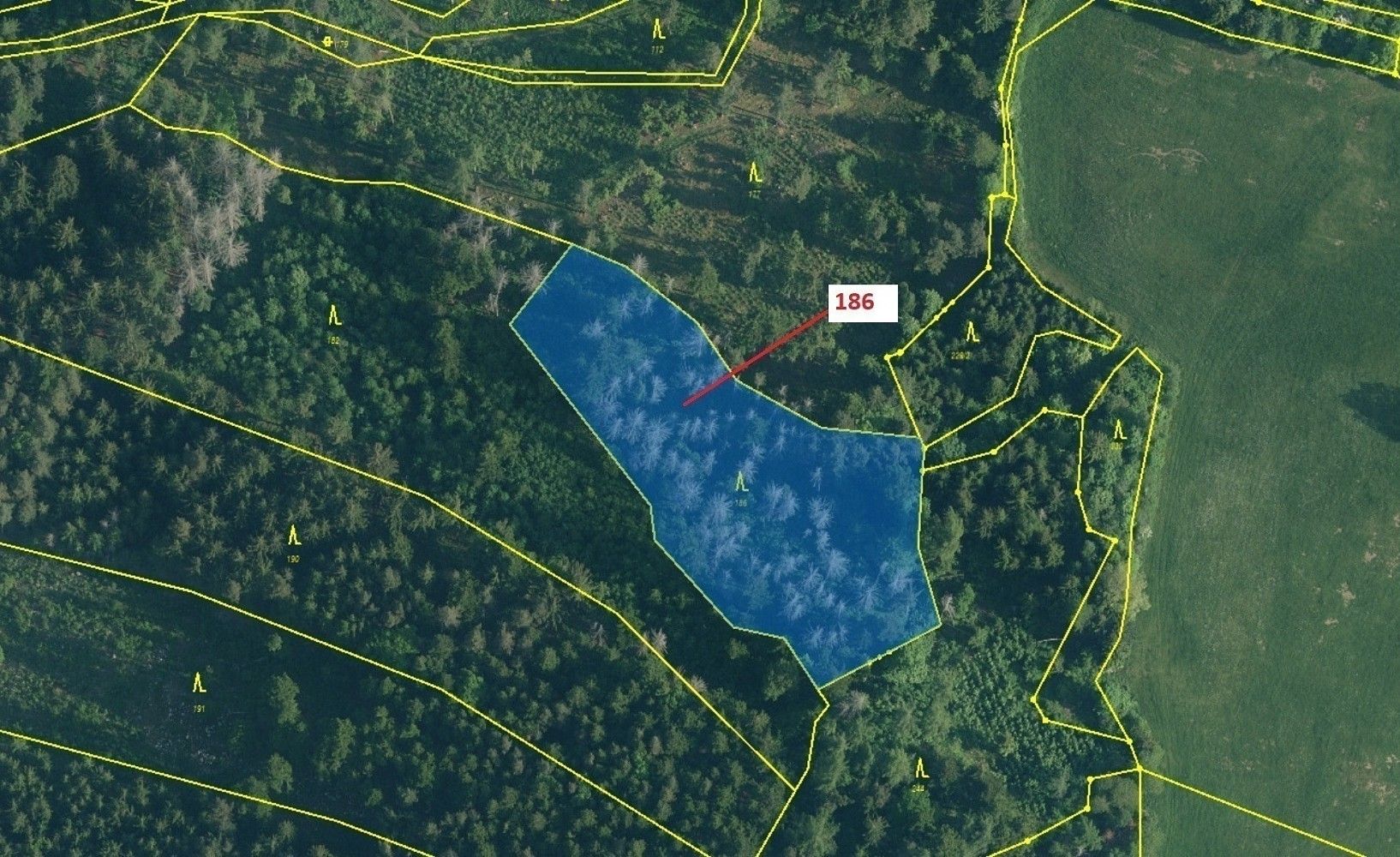 Prodej les - Zálezly, okres Prachatice, Jihočeský kraj - 2