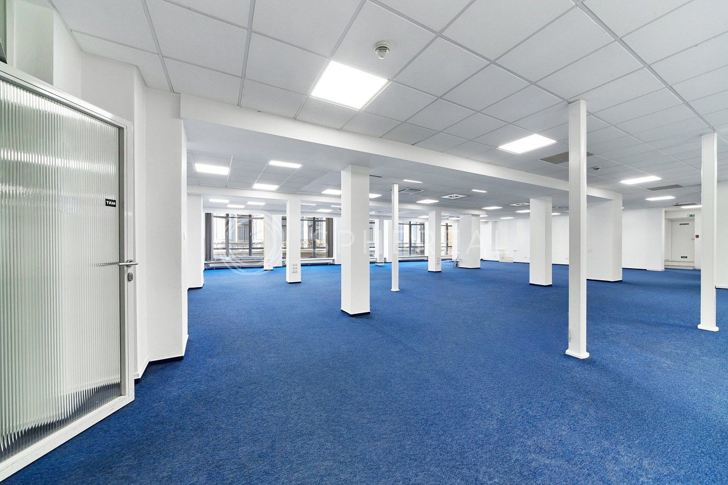 Kancelář · 505 m² · Brno - Brno-město, okres Brno-město, Jihomoravský kraj - 3