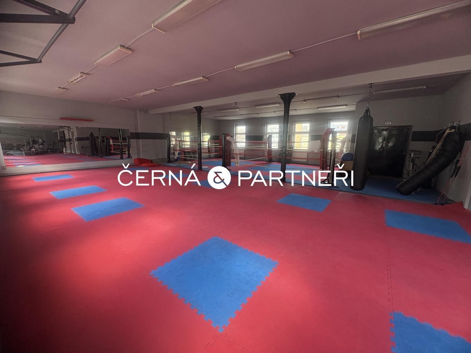 Ostatní, Štúrova, Teplice, 280 m²