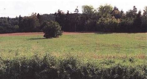 Pozemky pro bydlení, Kutná Hora, 284 03