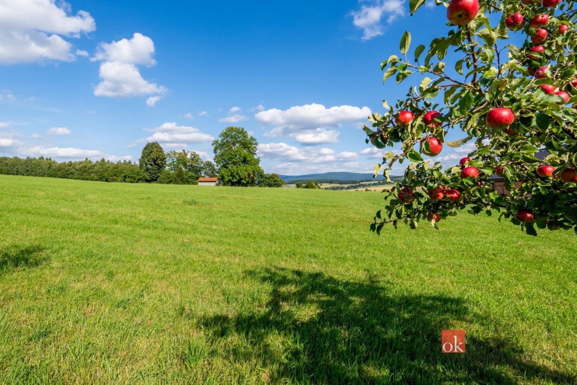 Prodej louka - Frýdlantská, Chrastava, 7 126 m² - 5