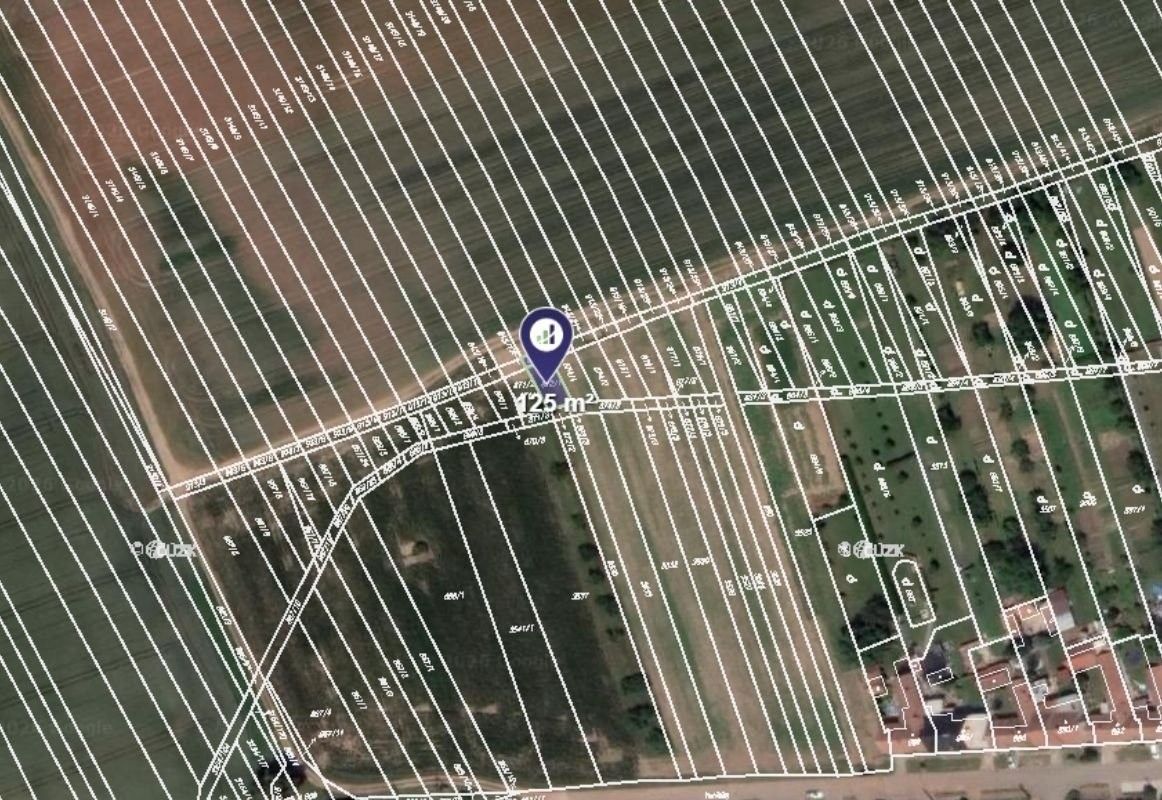 Zemědělské pozemky, Prušánky, 9 108 m² - 2