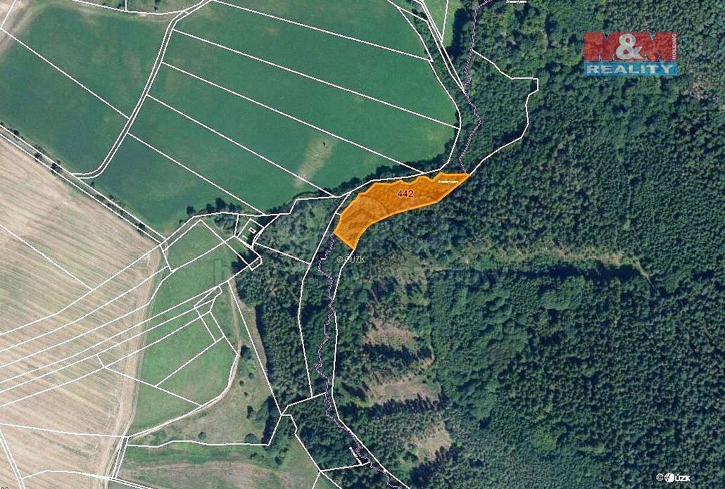 Les · Borotice, okres Příbram, Středočeský kraj - 3
