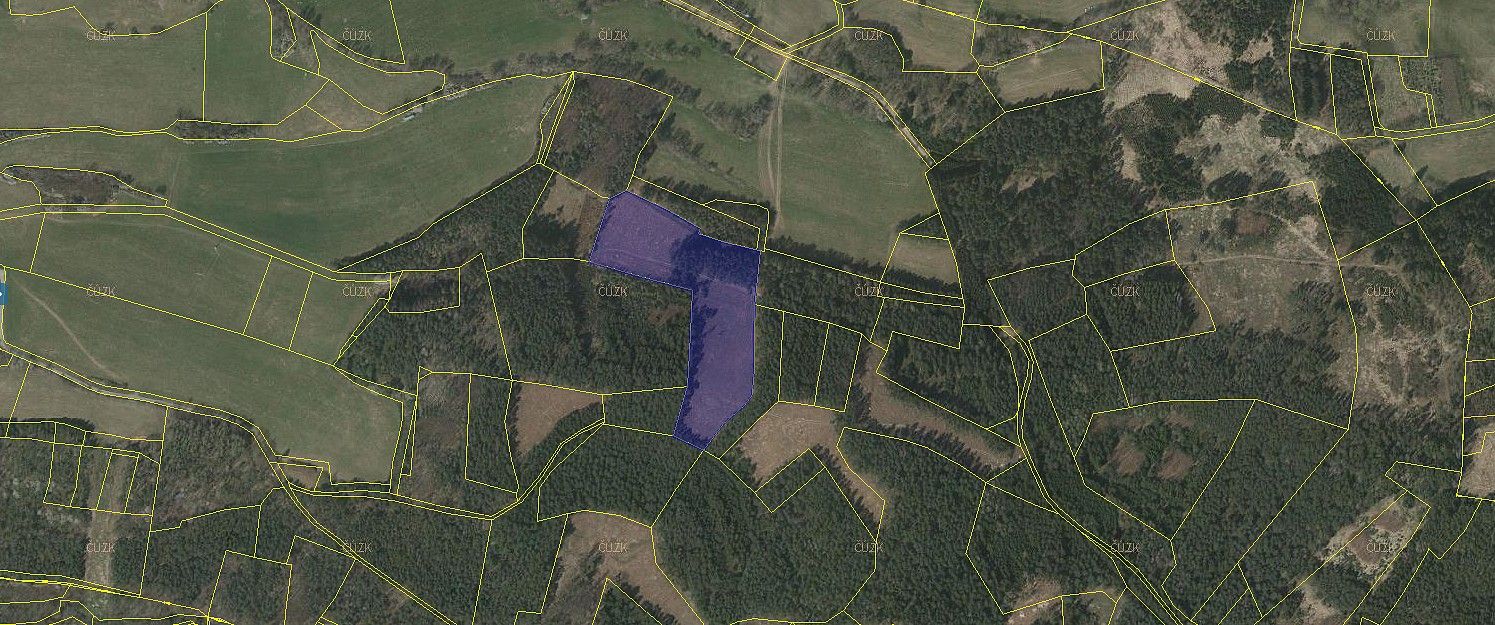 Lesy, Přechovice, okres Strakonice, Jihočeský kraj - 2