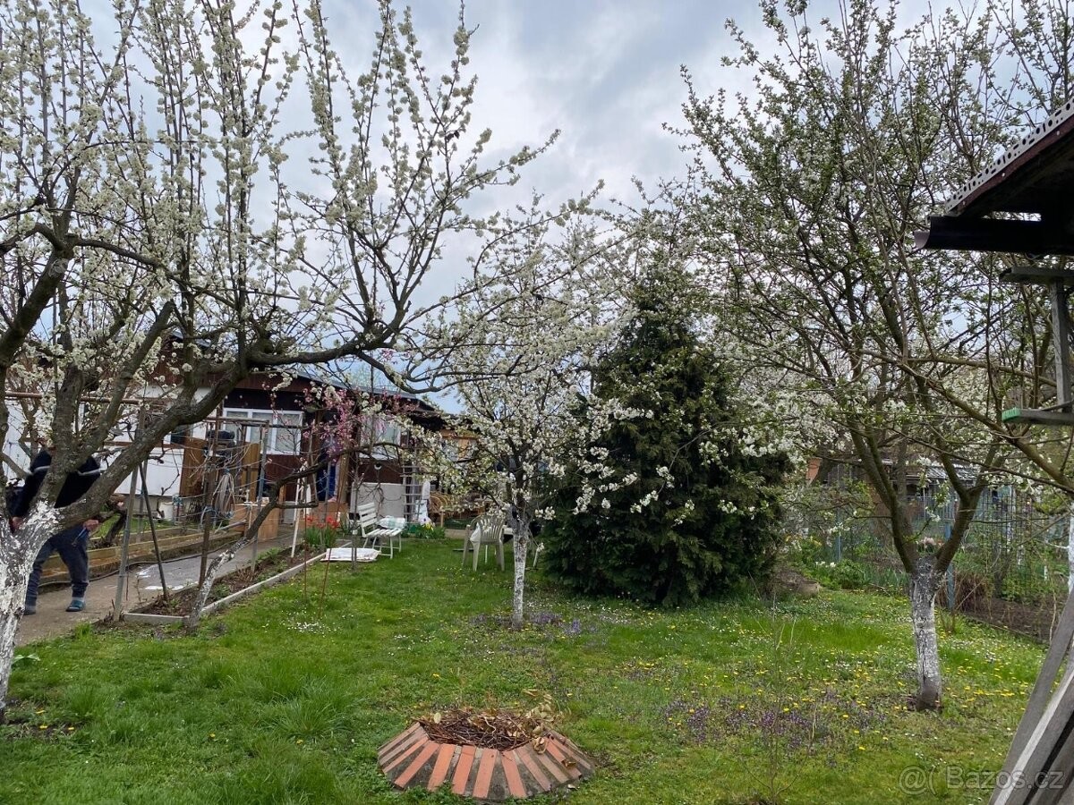 Prodej zahrada - Most, 434 01 - 5