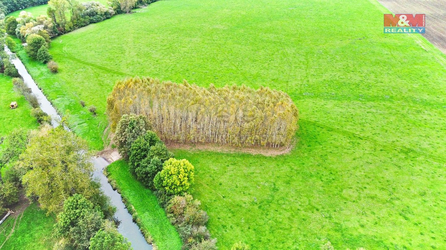 Prodej les - Skřivany, okres Hradec Králové, Královéhradecký kraj - 5