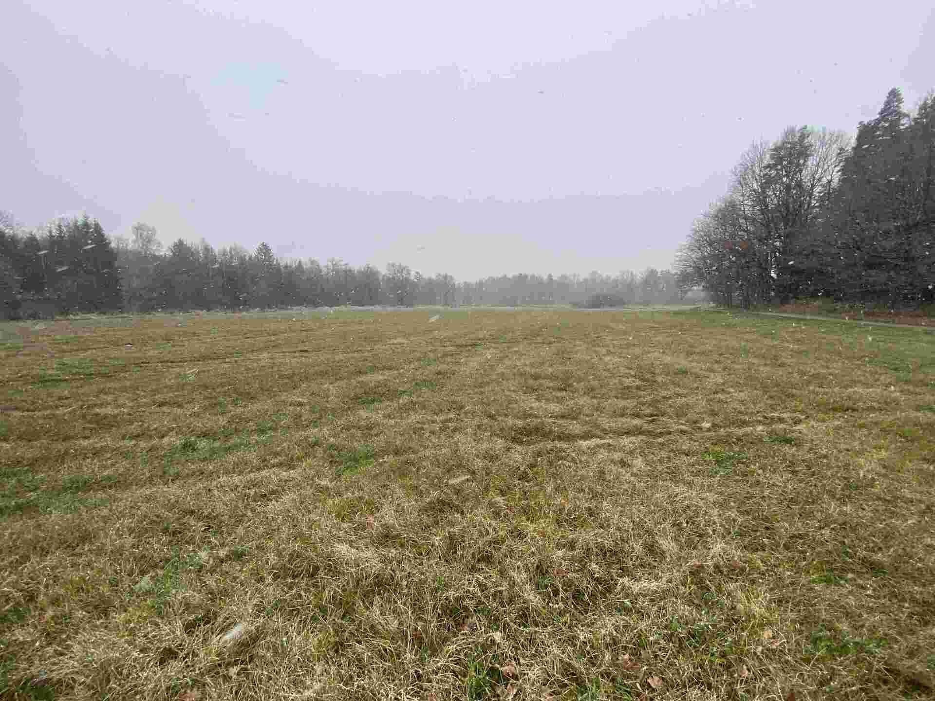 Louka · 16 799 m² · Jindřichův Hradec Horní Žďár - 4