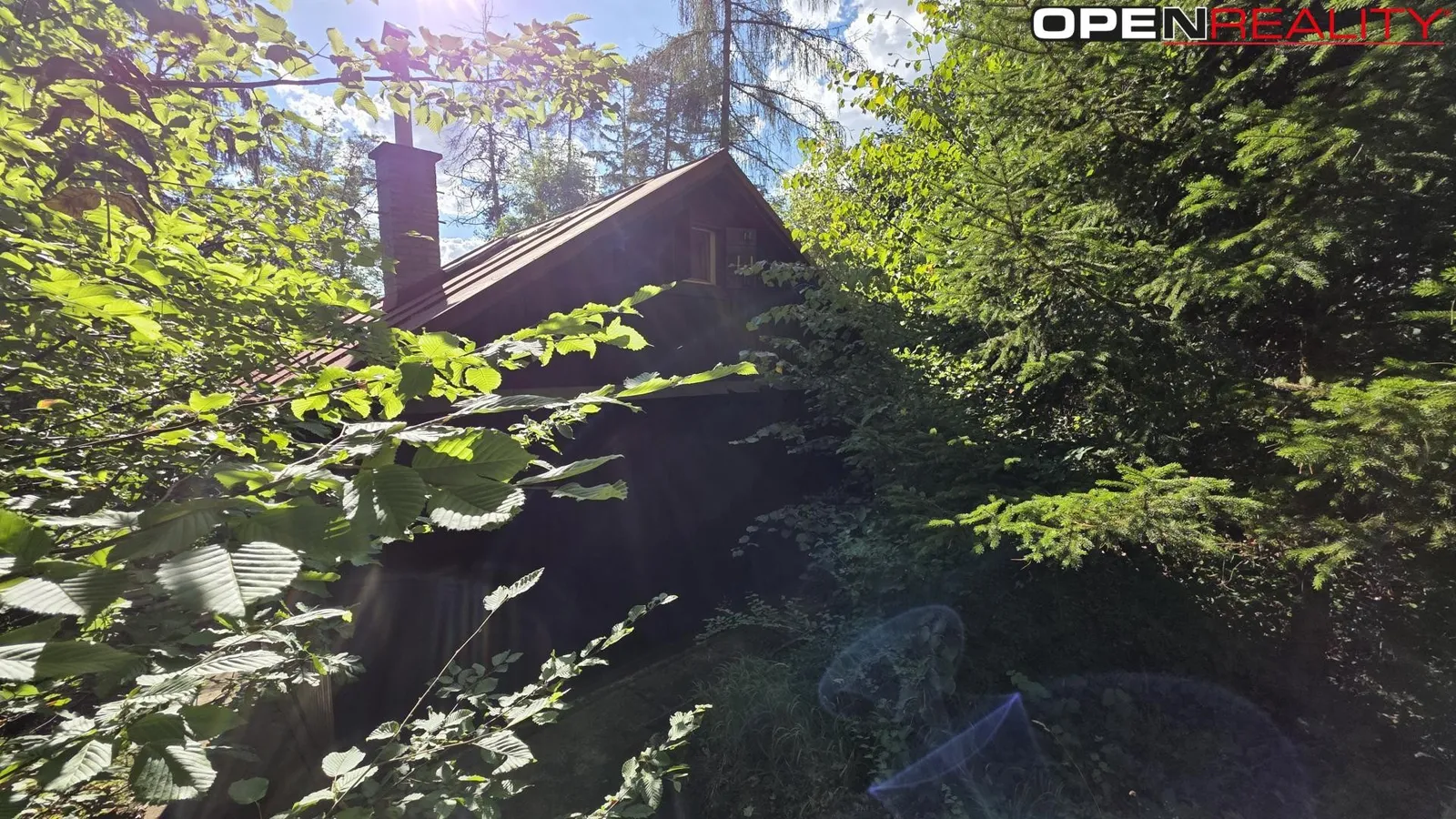 Ostatní