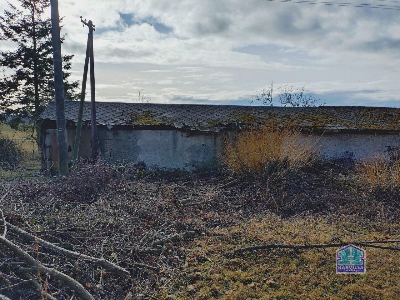 Prodej zemědělský objekt - Kotovice Nový, 93 m² - 5