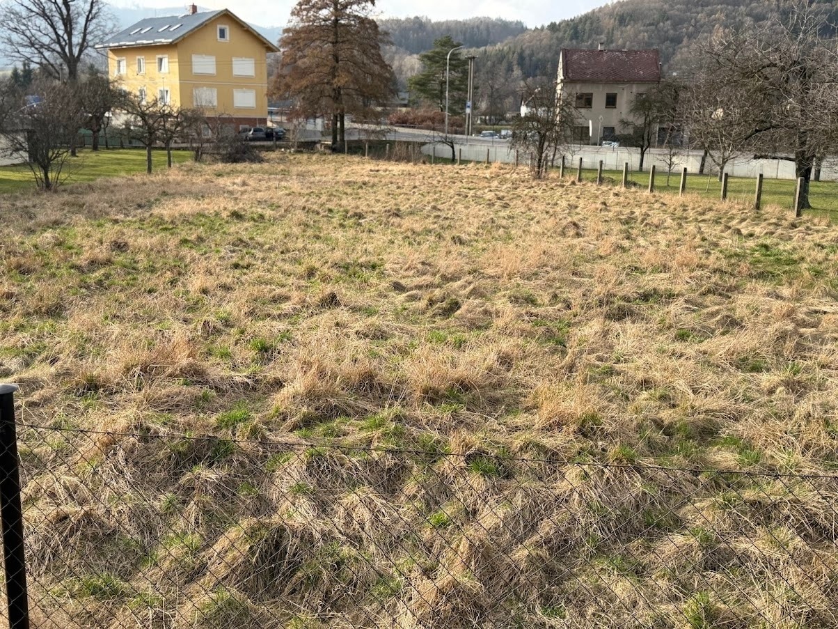 Stavební pozemek, Petrov nad Desnou – pohled 5