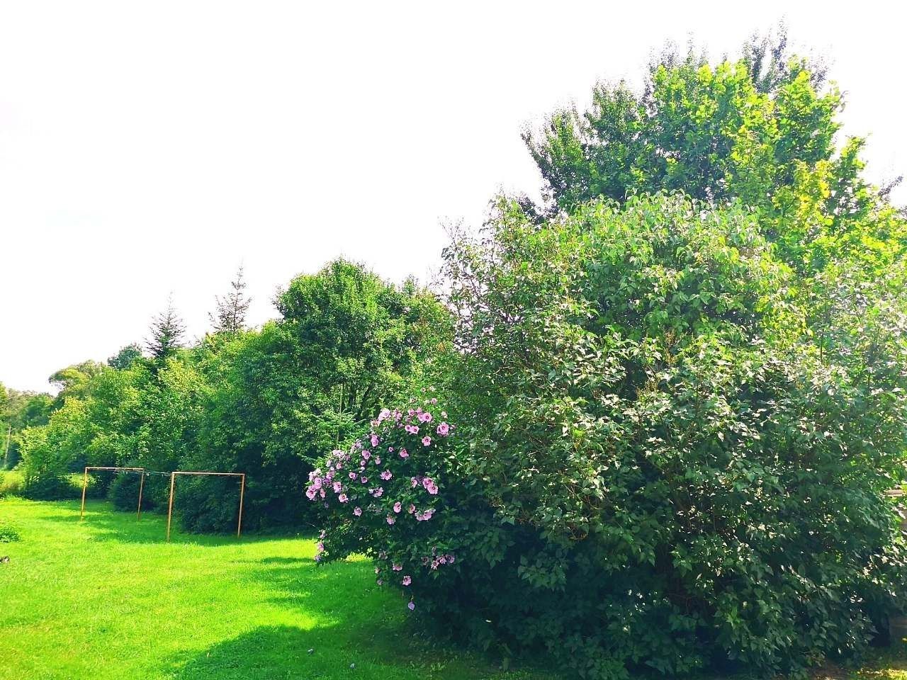 Chaty, Frýdlant nad Ostravicí - Frýdlant nad Ostravicí, Moravskoslezský kraj - 2