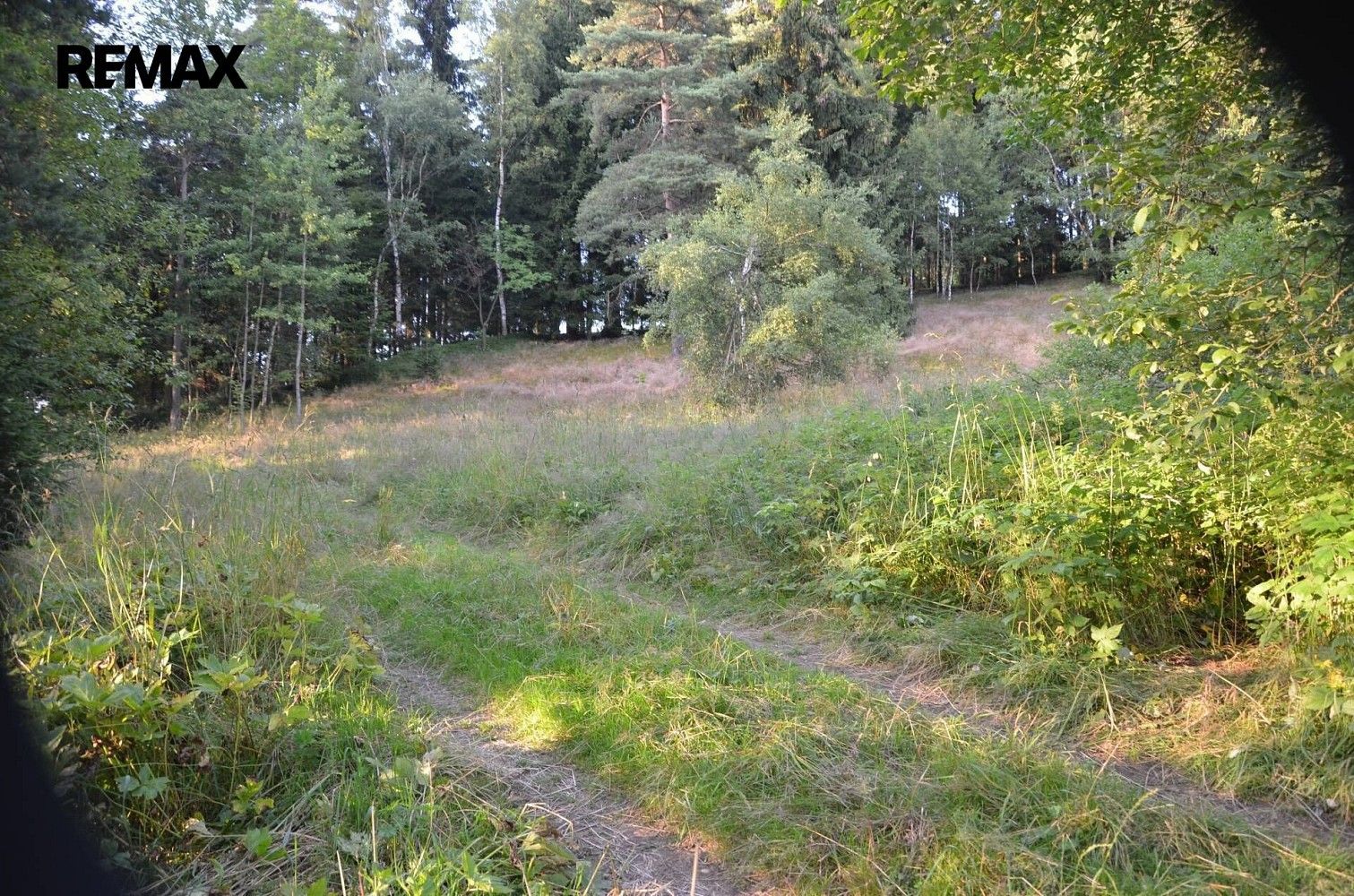Prodej pozemek pro bydlení - Bublava, okres Sokolov, Karlovarský kraj - 5