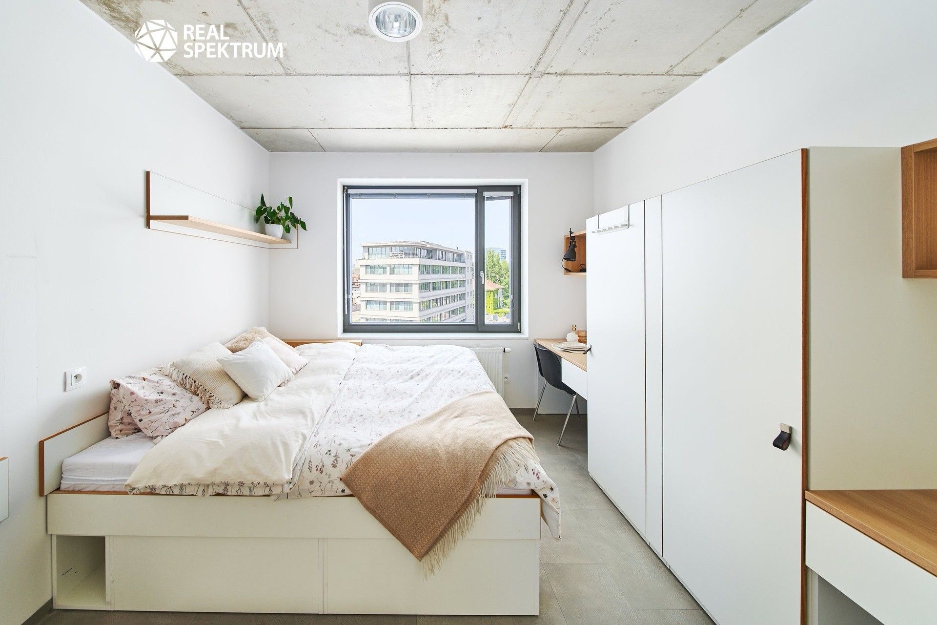 1+kk, Dornych, Brno, 24 m²