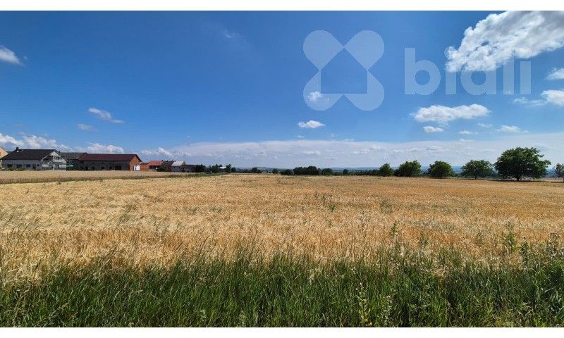Zemědělský pozemek, 773 m²