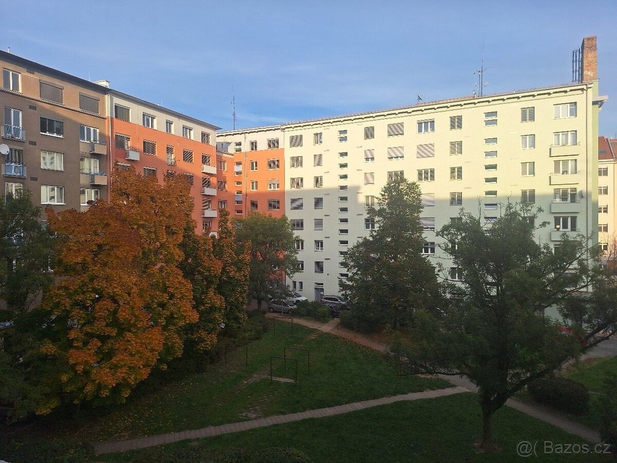 Pronájem byt - Brno, 602 00