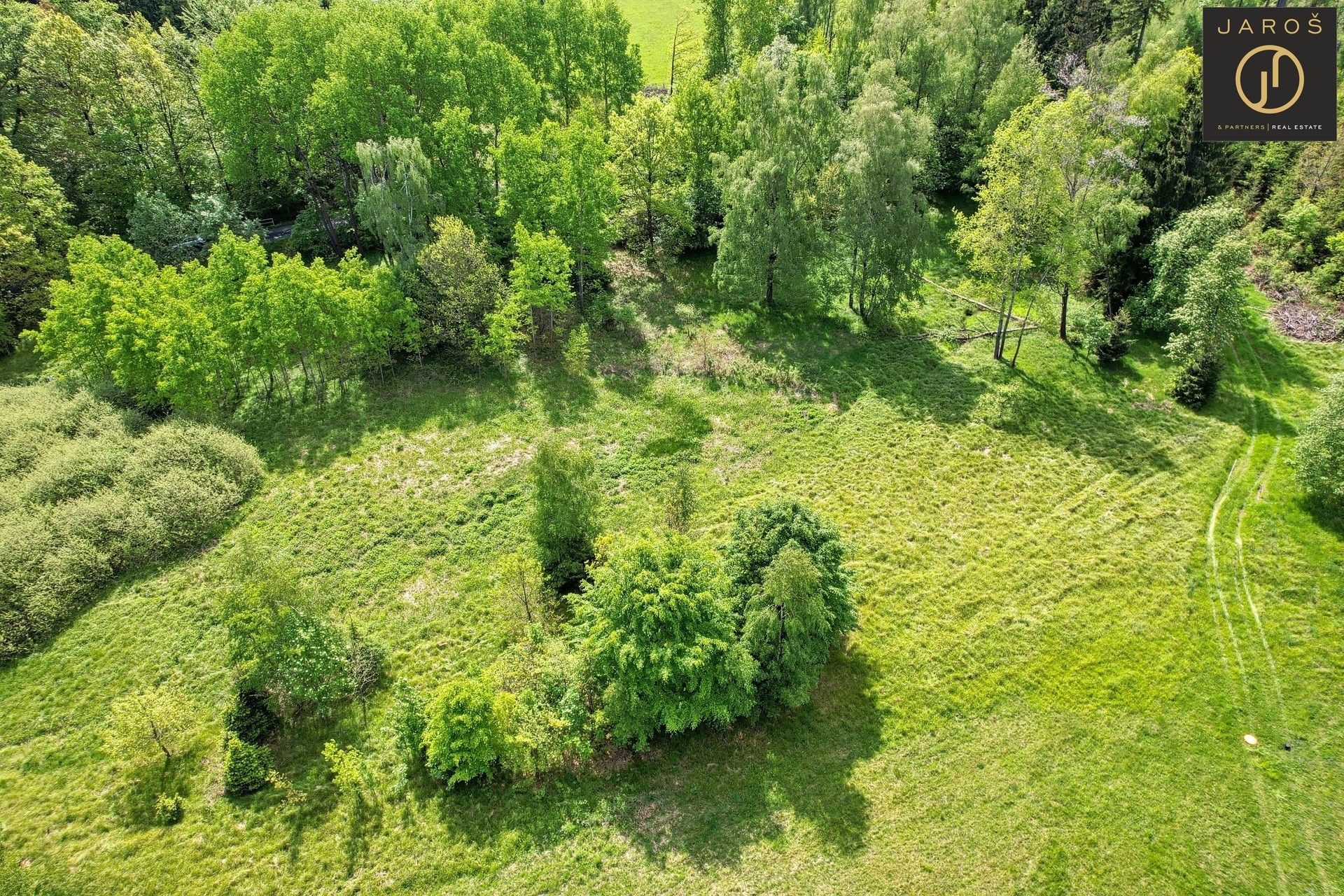 Prodej louka - Velký Šenov - 1