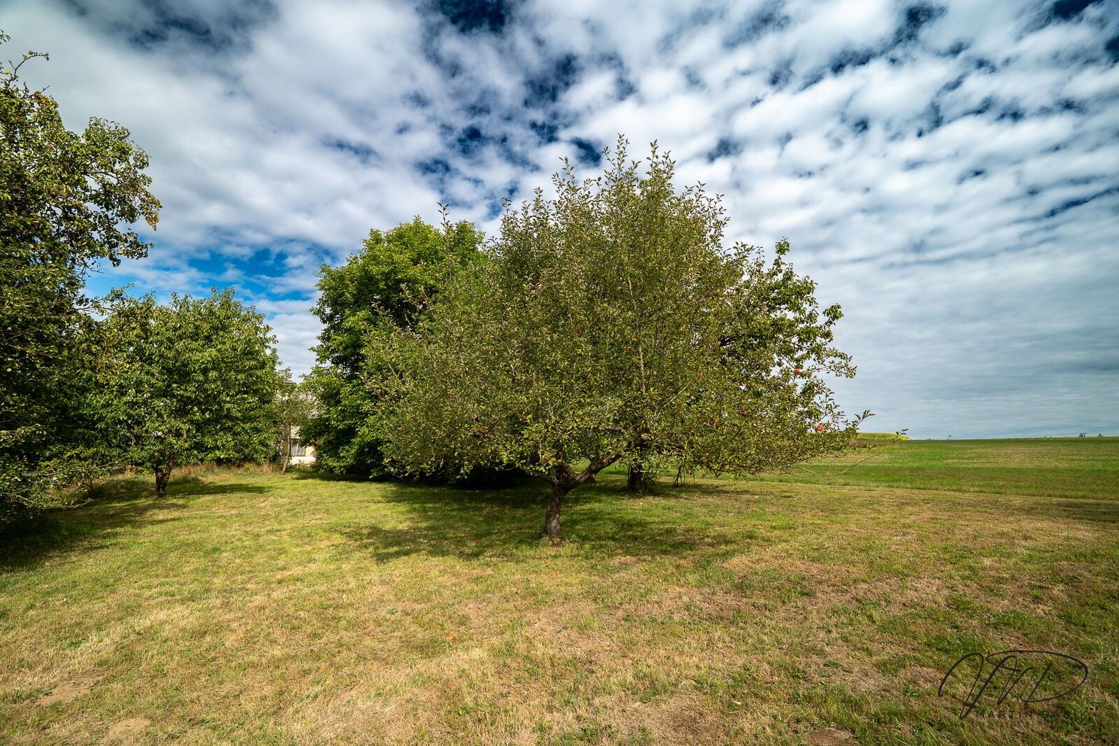 Pozemek pro bydlení · 1 454 m² · Habry - 3