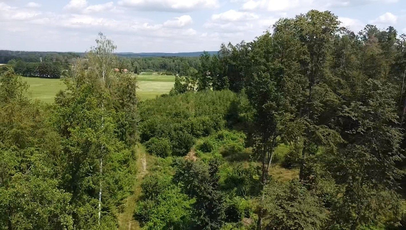 Zemědělské pozemky, Chlum u Třeboně Žíteč, 130 000 m² - 2