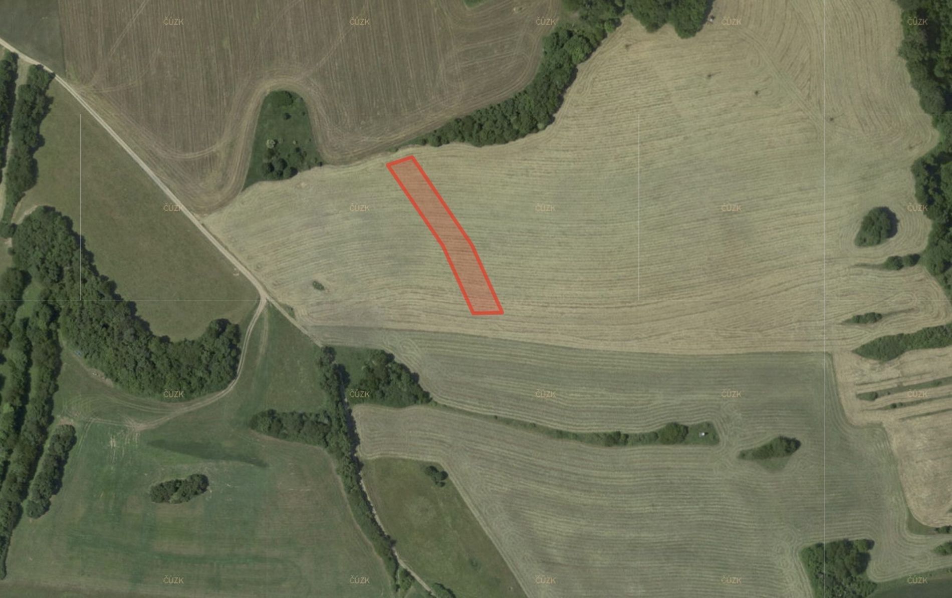 Prodej zemědělský pozemek - Ostrov u Macochy