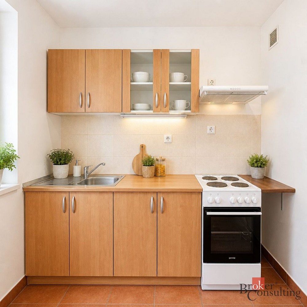 Byt 2+1, 55 m²
