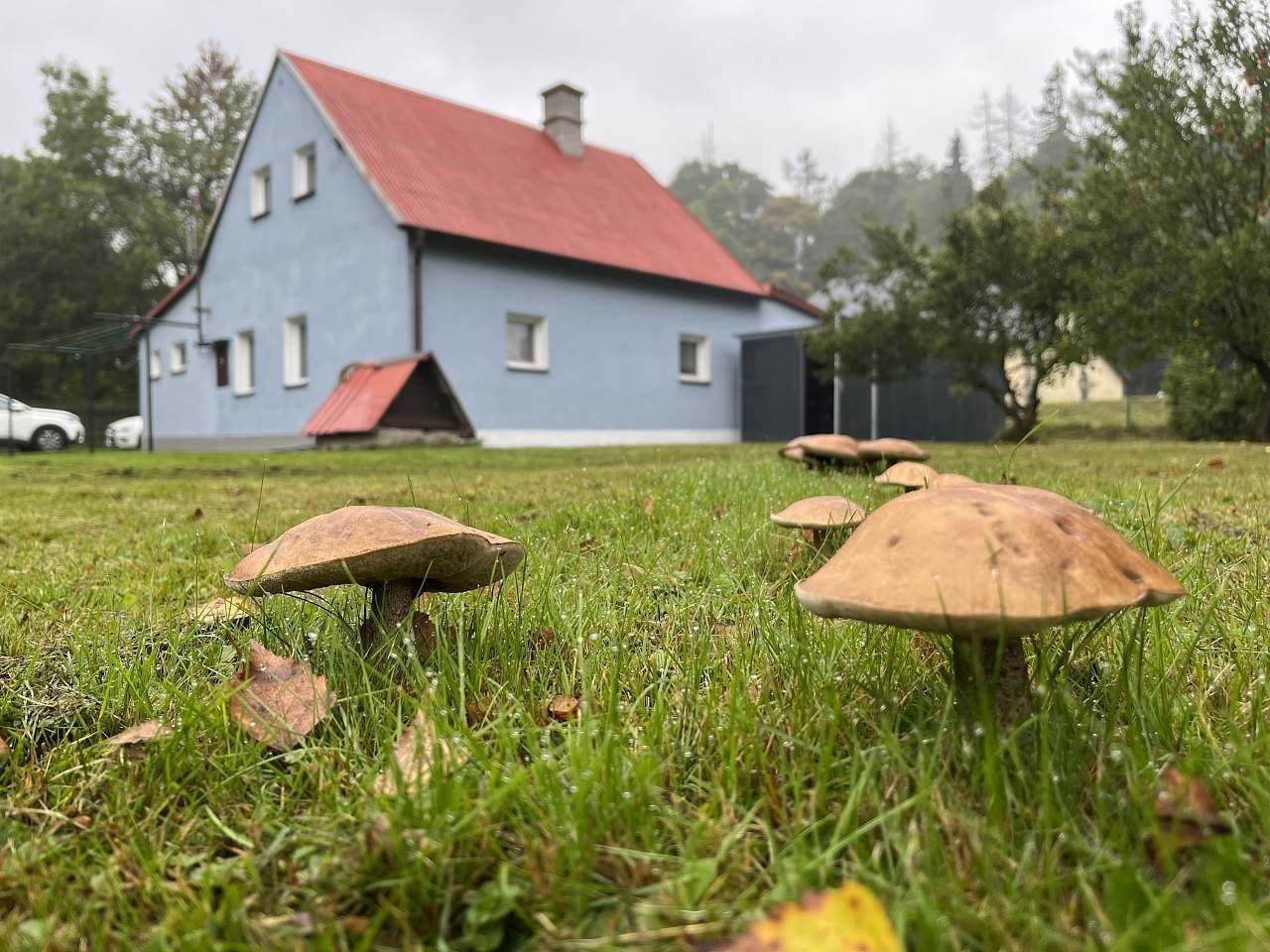 Chaty, Lomnice - Lomnice u Rýmařova, Moravskoslezský kraj