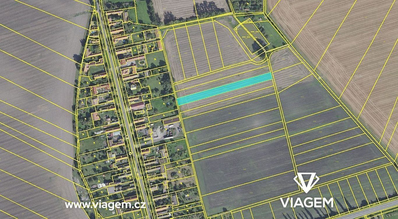 Zemědělské pozemky, Vlkov pod Oškobrhem, okres Nymburk, Středočeský kraj - 2