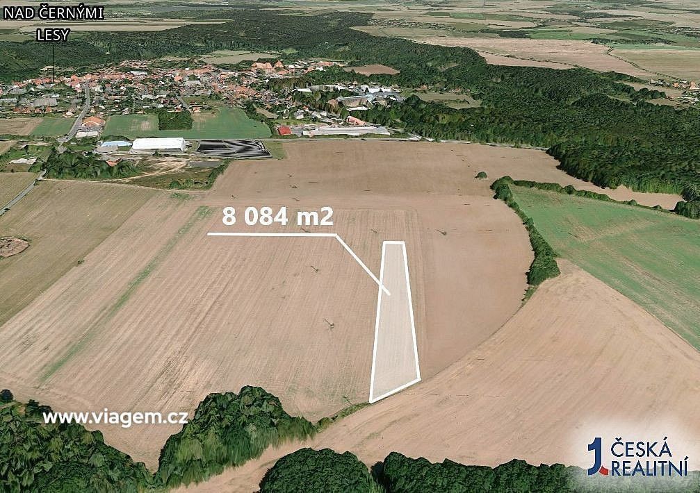 Zemědělské pozemky, Kostelec nad Černými lesy, okres Praha-východ, Středočeský kraj - 2