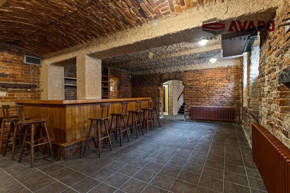 Obchodní prostory, Lidická, Opava, 166 m²