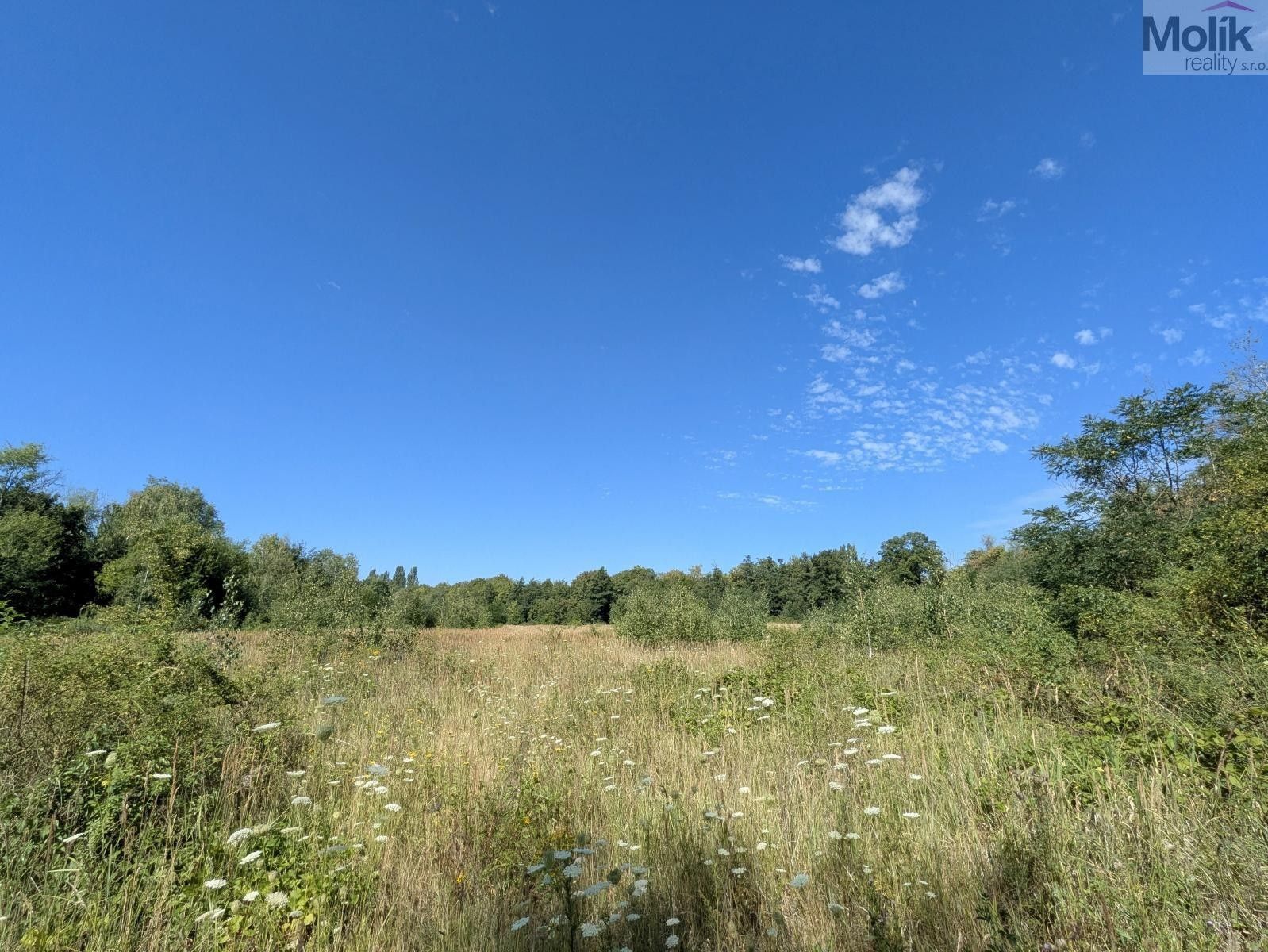 Pozemek pro bydlení · 987 m² · Luční, Mariánské Radčice - 4