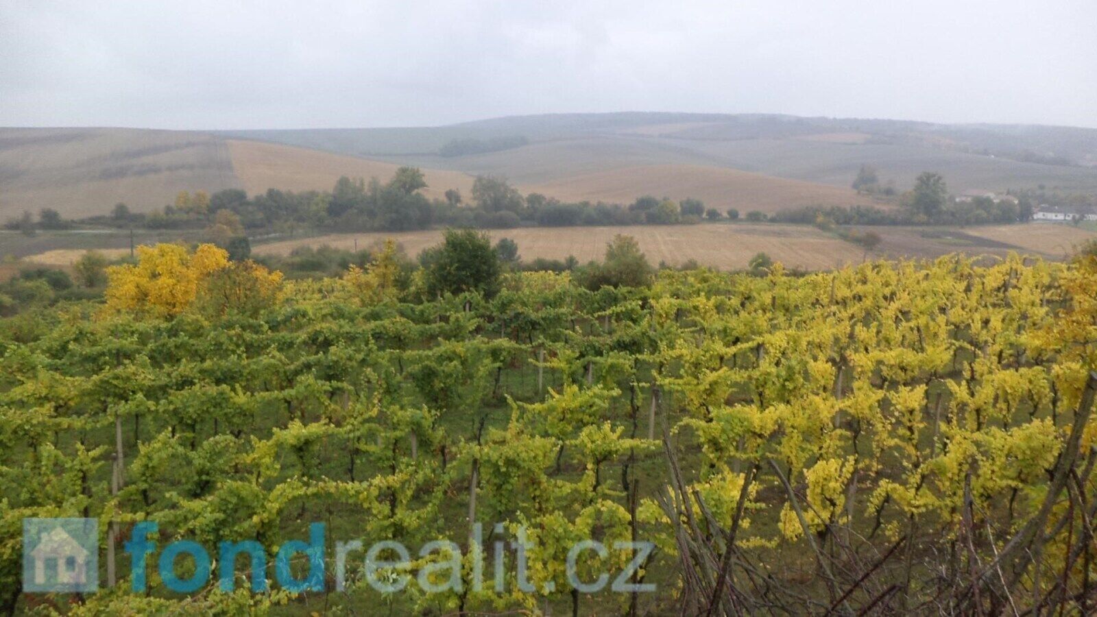 Prodej pozemek - Morkůvky, 4 m²