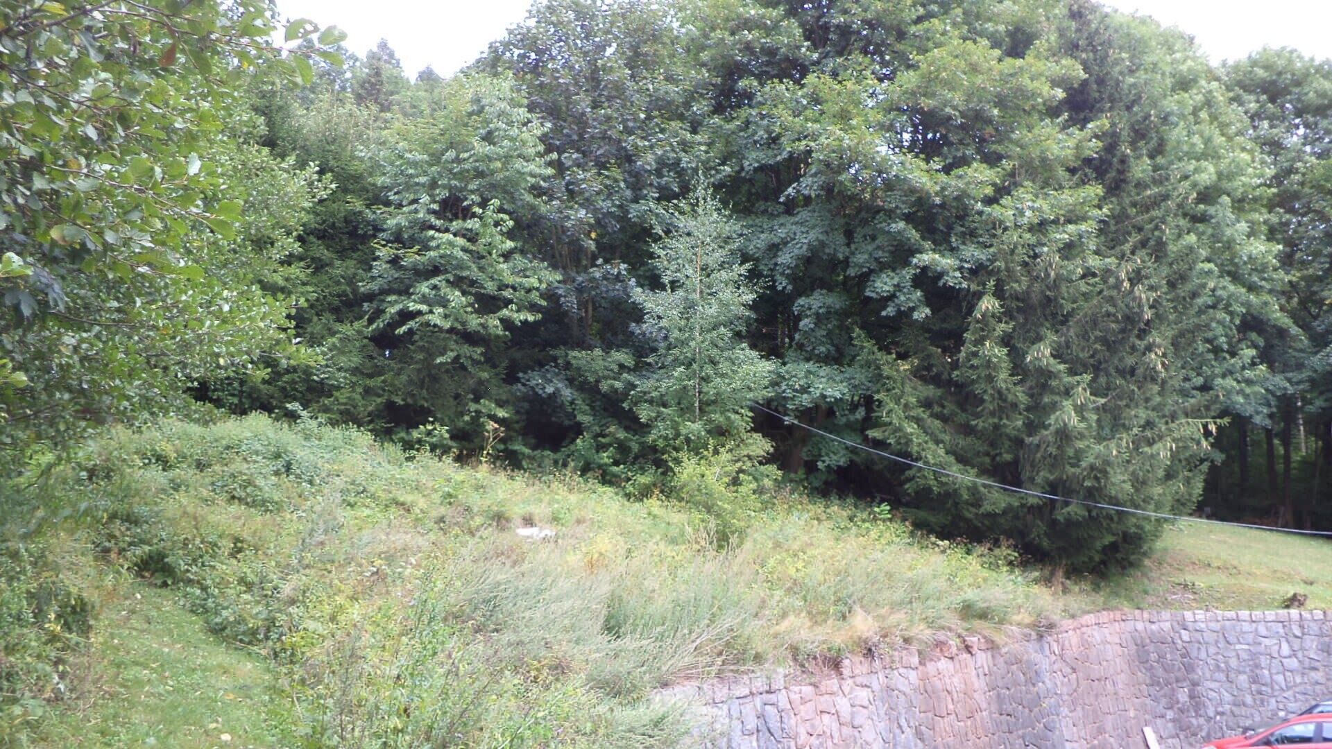 Prodej pozemek pro bydlení - Svoboda nad Úpou, 947 m²