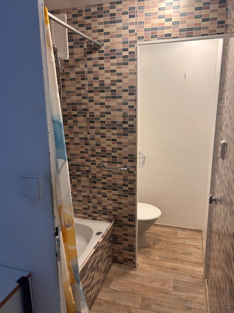 Pronájem byt - Písek, 397 01