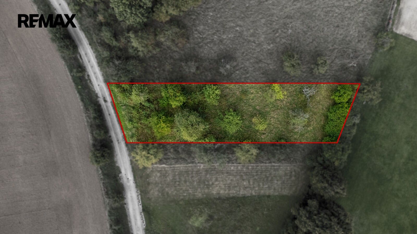 Pozemek pro bydlení · 1 111 m² · Prasklice - 3