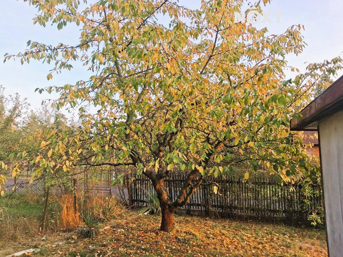 Prodej rodinný dům - Česká Lípa, 20 m² - 5