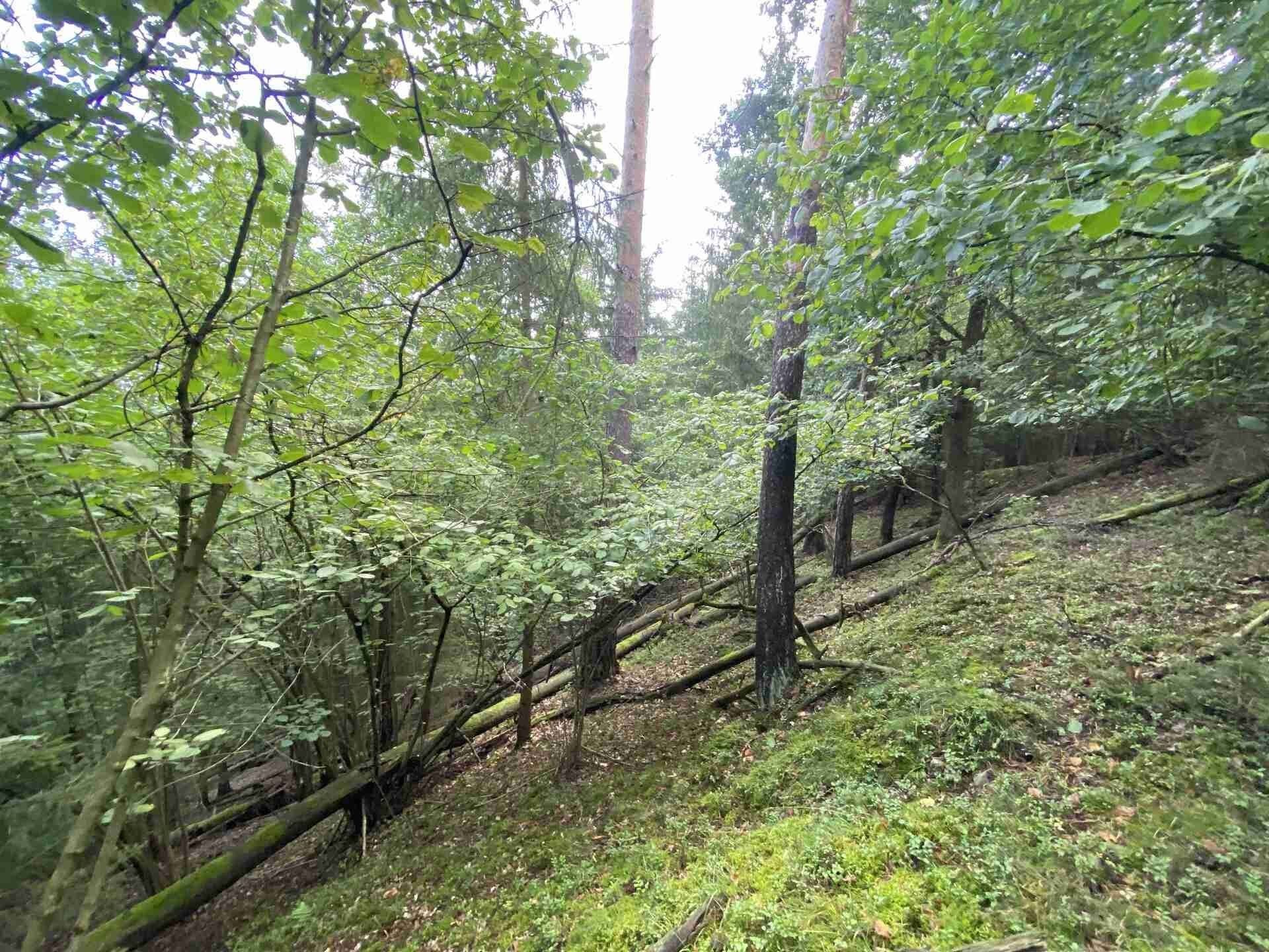 Ostatní, Křečovice Nahoruby, 3 382 m² - 2