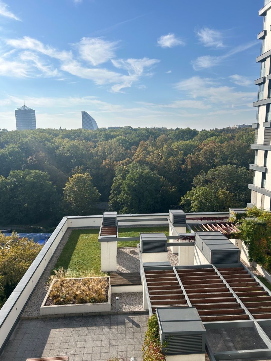 Pronájem byt 1+kk - Olšanská, Praha - Žižkov, 37 m² - 5