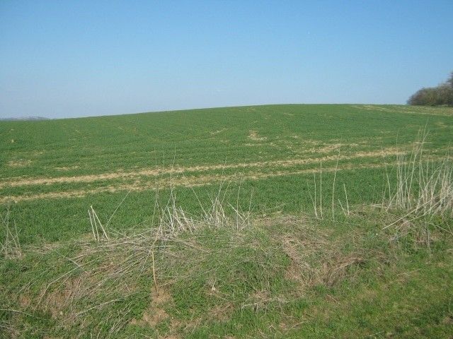 Pozemky pro bydlení, Bystřice u Benešova, 257 51 - 2