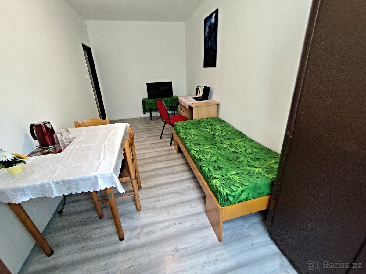 Pronájem byt - Liberec, 463 11