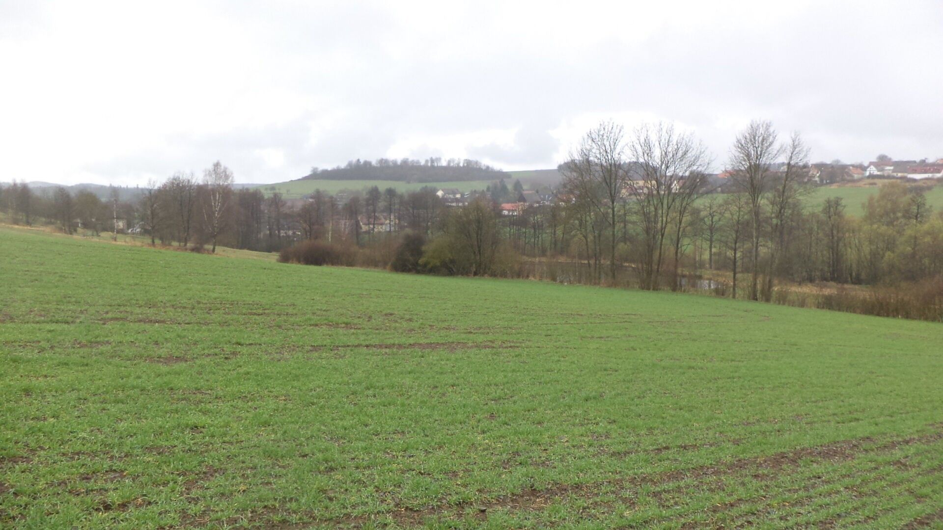 Prodej zemědělský pozemek - Radošice, Mladý Smolivec, 15 m²