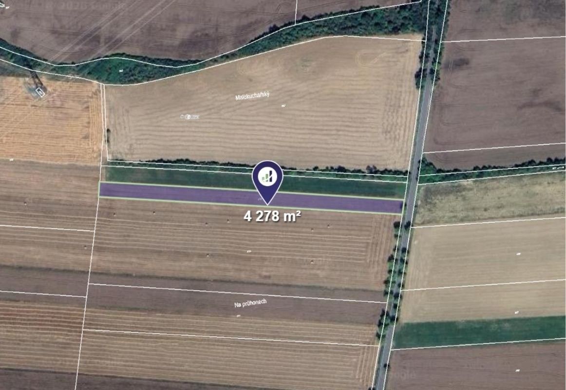 Prodej zemědělský pozemek - Chýnice - 2