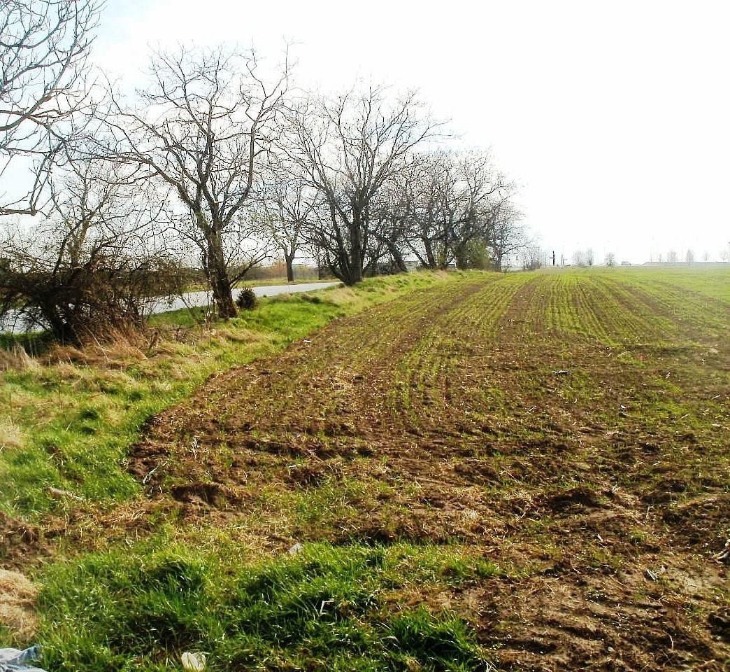 Komerční pozemek · Na Statkách, Olomouc - Slavonín - 4