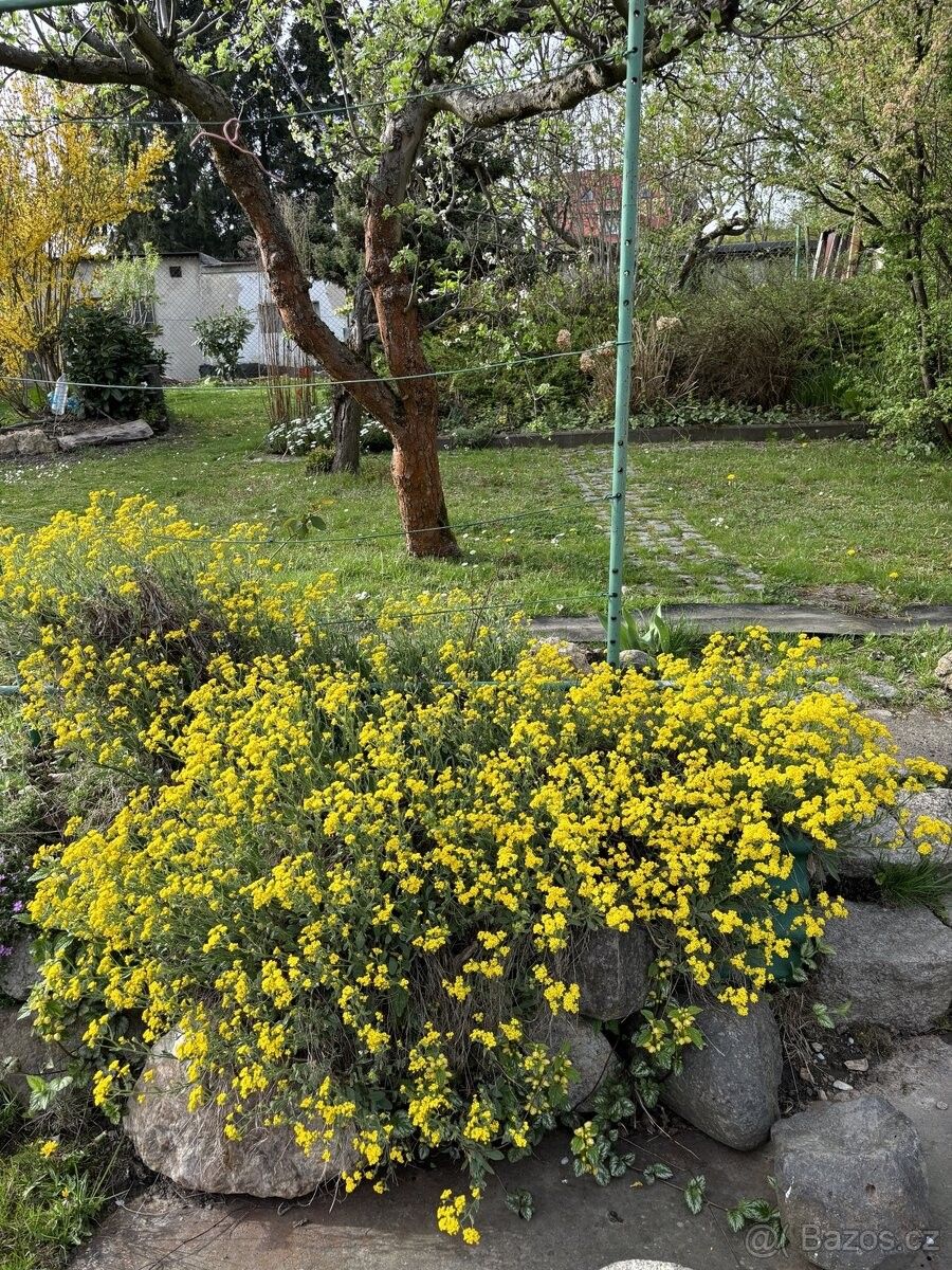 Prodej zahrada - Liberec, 460 01, 293 m²