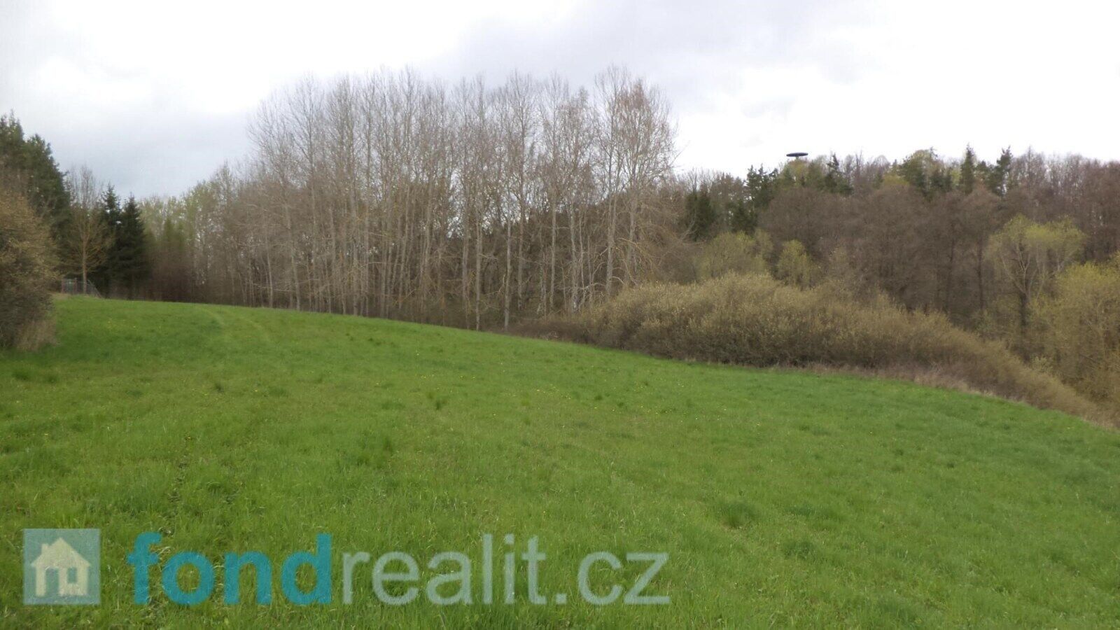 Prodej zemědělský pozemek - Tachov, 55 m²