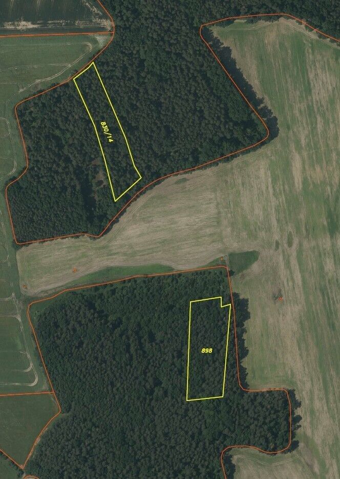 Lesy, Lipí Kaliště u Lipí, 21 899 m² - 2