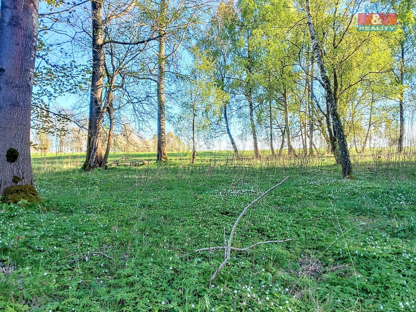 Pozemek pro bydlení, 2 966 m²