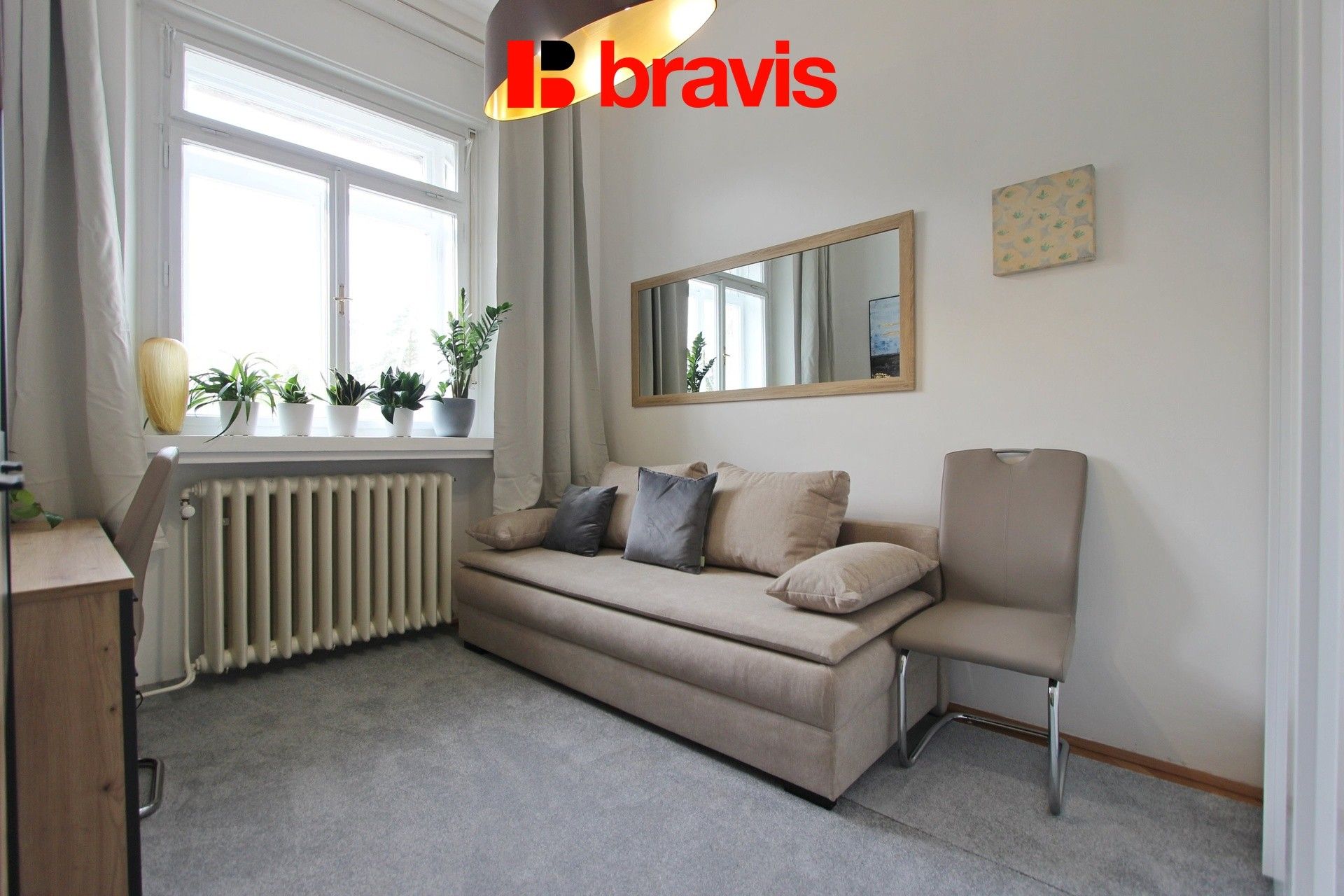 1+1, Lipová, Brno, 22 m²