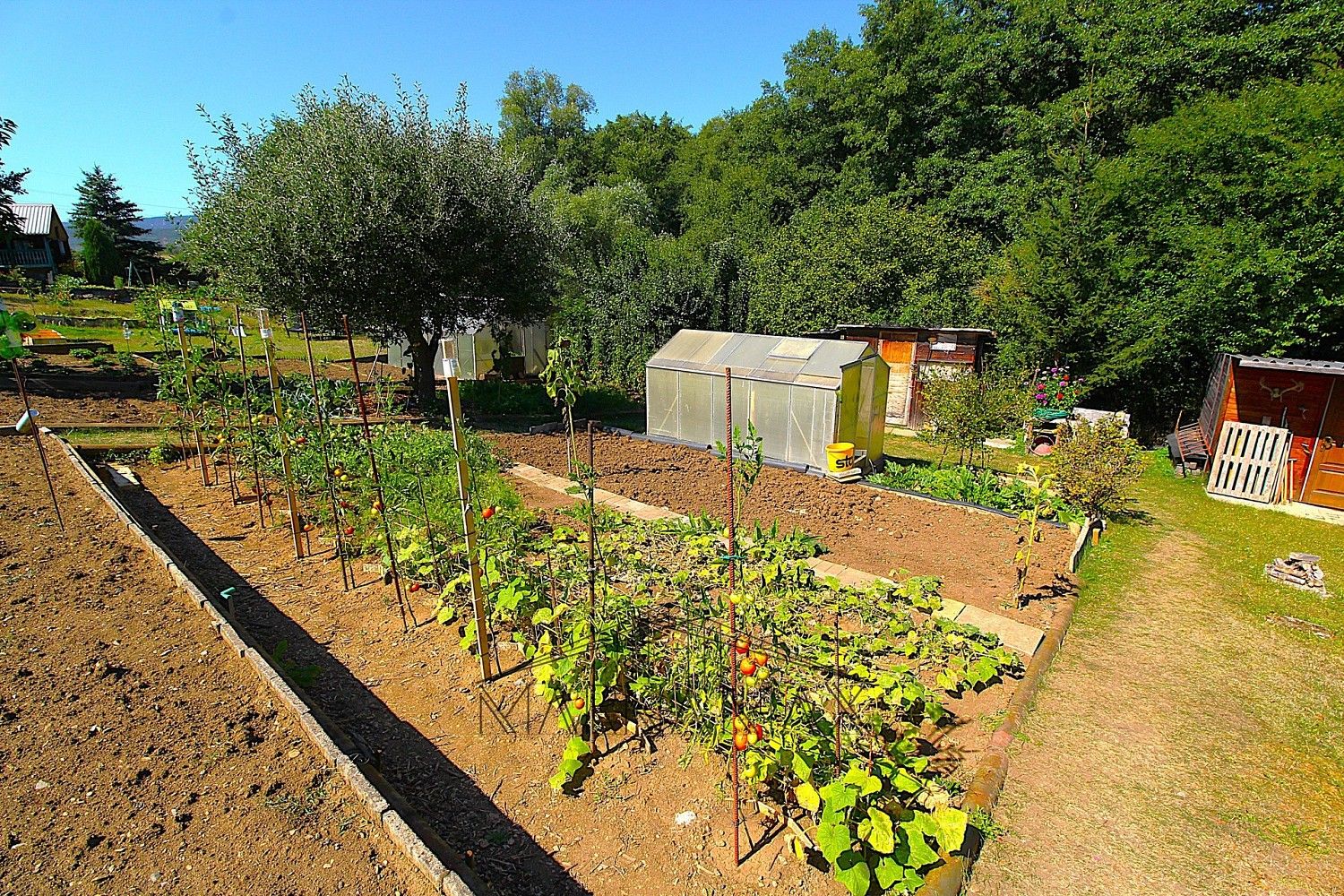 Chalupa · 15 m² · Klášterec nad Ohří - Mikulovice, okres Chomutov, Ústecký kraj - 3