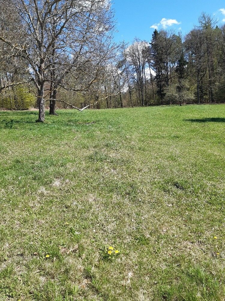 Zahrady, Chvalšiny, 382 08 - 2